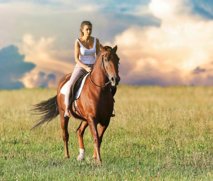 In the world of horse riding, there’s more to gear than just function. It’s about feeling confident, looking sharp in the saddle, and knowing your choices support both your lifestyle and the planet. That’s exactly what GS Equestrian offers—a modern blend of performance, aesthetics, and sustainability that lets riders focus on what they love most. Whether you’re new to the sport or an experienced equestrian, GS Equestrian delivers a thoughtful mix of rider wear, horse care, and convenience-driven service that keeps both horse and rider happy.